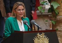 Βολιβία: Η αχυρένια «πρόεδρος» του πραξικοπήματος, Ζανίν Ανιές, πιάστηκε, φυλακίστηκε και παραπέμπεται σε δίκηs