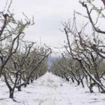 Ματιές… από τη Βόρεια Ελλάδα
