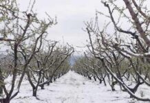 Ματιές… από τη Βόρεια Ελλάδα