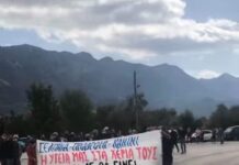 Παραμυθιά: Ενάντια στις μονάδες καύσης βιομάζας