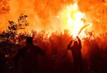 ΠΥΡΚΑΓΙΑ ΣΤΗ ΔΥΤΙΚΗ ΑΤΤΙΚΗ