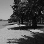 Μετρώντας αντίστροφα για το 9ο Camping της Πορείας 31 Ιουλίου – 8 Αυγούστου, Άγιος Κωνσταντίνος Φθιώτιδας Μια ματιά στο πρόγραμμα εκδηλώσεων του Camping