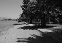 Μετρώντας αντίστροφα για το 9ο Camping της Πορείας 31 Ιουλίου – 8 Αυγούστου, Άγιος Κωνσταντίνος Φθιώτιδας Μια ματιά στο πρόγραμμα εκδηλώσεων του Camping