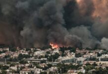 Η αντιλαϊκή κυβερνητική πολιτική μοναδικός υπεύθυνος για την μεγάλη καταστροφή από τις πυρκαγιές
