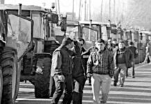 Στο πλευρό των γεωργοκτηνοτρόφων, στον αγώνα ενάντια στην αντιαγροτική πολιτική της κυβέρνησης, της ολιγαρχίας και της ΕΕ