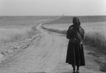 Η μπαλάντα ενός στρατιώτη του ΓΚΡΙΓΚΟΡΙ ΤΣΟΥΧΡΑΪ ΣΟΒΙΕΤΙΚΗ ΕΝΩΣΗ (1959)