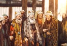 ΠΑΧΥΣΑΡΚΙΕΣ ΚΑΙ ΑΛΛΕΣ ΦΛΥΑΡΙΕΣ