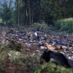 Με ευθύνη της κυβέρνησης σκοτάδι καλύπτει την πτώση του αεροσκάφους στην Καβάλα