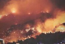 Για τις συνέπειες της πυρκαγιάς στο νότιο Ρέθυμνο