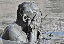 Νέο σκάνδαλο διαπλοκής και αλληλοκάλυψης κράτους – παρακράτους και υποκόσμου