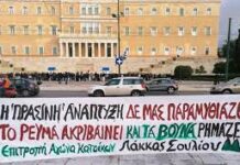 Επέλαση των αρπακτικώντης «πράσινης ενέργειας»στα βουνά όλης της Ηπείρου