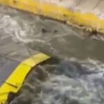 Ένα κτηνώδες έγκλημα, ξανά, με την σφραγίδα της κυρίαρχης πολιτικής και της εφοπλιστικής ασυδοσίας
