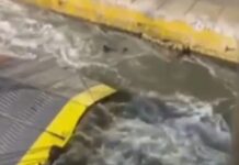 Ένα κτηνώδες έγκλημα, ξανά, με την σφραγίδα της κυρίαρχης πολιτικής και της εφοπλιστικής ασυδοσίας