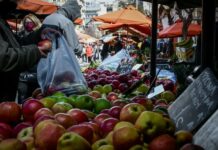 Ακρίβεια, αισχροκέρδεια, μαυραγοριτισμός η κυβερνητική απάντηση στην καταστροφή του κάμπου