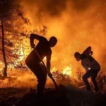 Μαζί με τα δάση και τα σπίτια κάηκε και ο μισθός μας