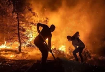 Μαζί με τα δάση και τα σπίτια κάηκε και ο μισθός μας