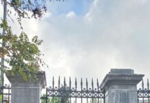 Αγωνιστική …υπογραφή(Πολυτεχνείο 2023, επετειακό)