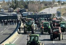 Αγώνας επιβίωσης οι αγροτικές κινητοποιήσεις
