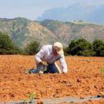 Ένα φάντασμα πλανιέται…