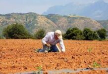 Ένα φάντασμα πλανιέται…