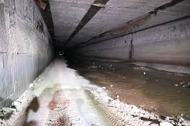 images (1)