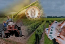 Κυβερνητικοί τριγμοί και πανικός από το σκάνδαλο του ΟΠΕΚΕΠΕ Απόπειρα συγκάλυψης και αποπροσανατολισμού από την κυβέρνηση Μητσοτάκη