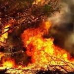 Ανυπεράσπιστος ο λαός στο έλεος των πυρκαγιών