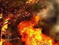 Ανυπεράσπιστος ο λαός στο έλεος των πυρκαγιών