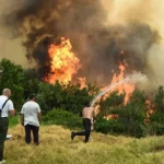 Στάχτες χιλιάδες στρέμματα γης, καμένες περιουσίες και ανυπολόγιστη καταστροφή, για μια ακόμα χρονιά