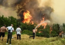 Στάχτες χιλιάδες στρέμματα γης, καμένες περιουσίες και ανυπολόγιστη καταστροφή, για μια ακόμα χρονιά