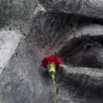 Οι βίαιες πρακτικές αναρχίας και ΑΡΑΣ, δεν έχουν καμία σχέση με το οργανωμένο φοιτητικό κίνημα