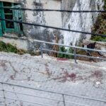 Οι δυο φόνοι στα Βορίζια
