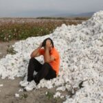 Καταρρέει ο πρωτογενής τομέας της χώρας -Υπόθεση όλων ο δίκαιος αγώνας της αγροτιάς, που παλεύει και θα νικήσει ενάντια στο ξεκλήρισμα και τον αφανισμό