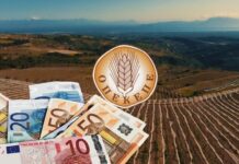 Συγκάλυψης συνέχεια στο σκάνδαλο του ΟΠΕΚΕΠΕ