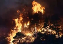 Στο ίδιο έργο θεατές – Η εγκληματική κυβερνητική πολιτική «καμένης γης» του Μητσοτάκη υπεύθυνη για τη μετατροπή εκτεταμένων περιοχών της χώρας σε κρανίου τόπο